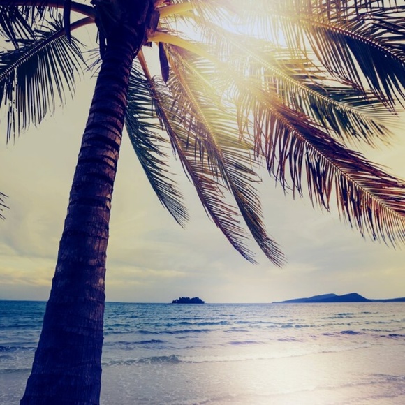 sunshine2639